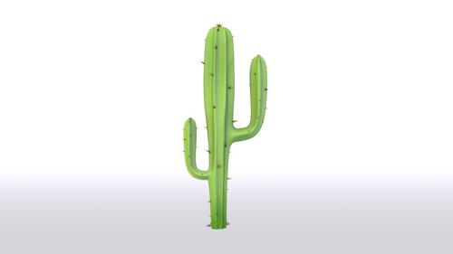 cactus preview image